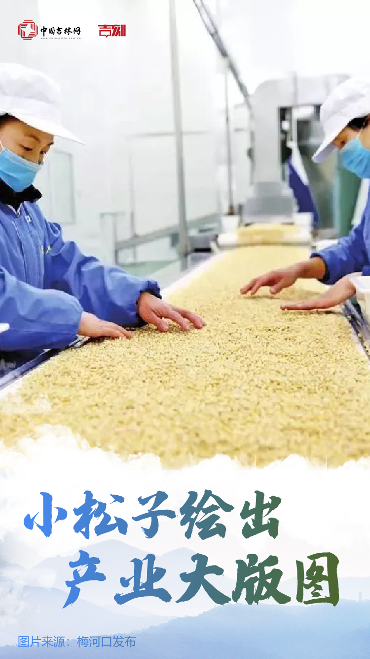 奋进的春天 | 黑土地上备耕忙 农作物种子孕育希望