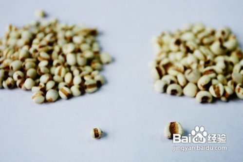 大小有别之薏仁米 小颗粒中的大智慧